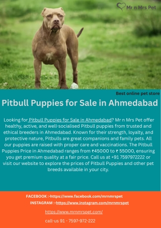 pitbull puppies for sale