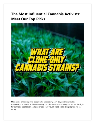 Buy Premium Cannabis Clones and Seeds