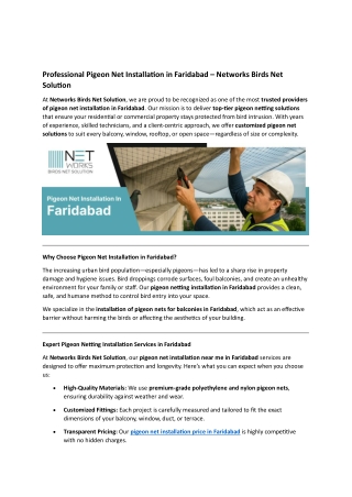 Professional Pigeon Net Installation in Faridabad