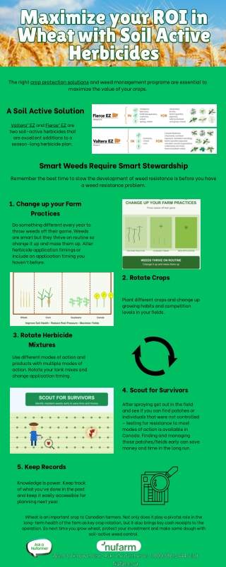 Maximize your ROI in Wheat with Soil Active Herbicides | Nufarm Canada