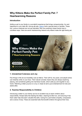 Why Kittens Make the Perfect Family Pet_ 7 Heartwarming Reasons