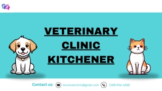 Compassionate Veterinary Hospital & Pet Care Services in Kitchener