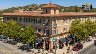 Pet-Friendly Hotels: Where You and Your Furry Friends Are Always Welcome