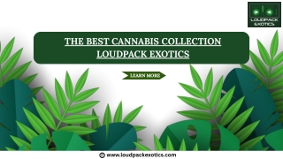 The Best Cannabis Collection-Loudpack Exotics