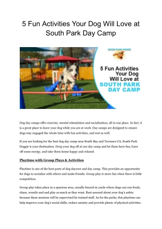 5 Fun Activities Your Dog Will Love at South Park Day Camp