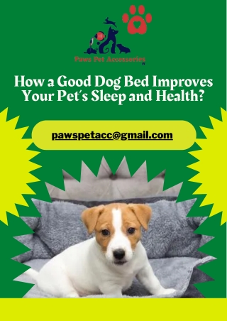 How a Good Dog Bed Improves Your Pet’s Sleep and Health