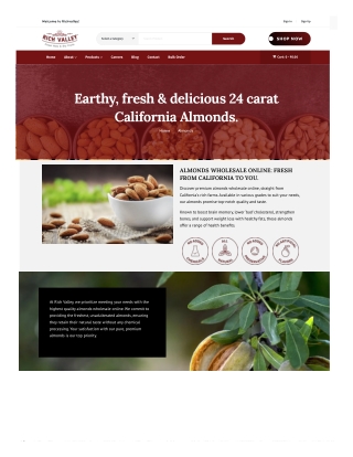 Buy Premium Dried Fruits and Nuts Online