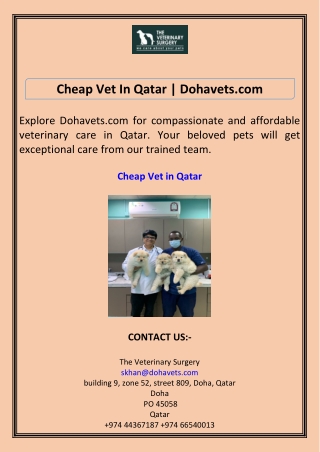 Cheap Vet In Qatar Dohavets.com