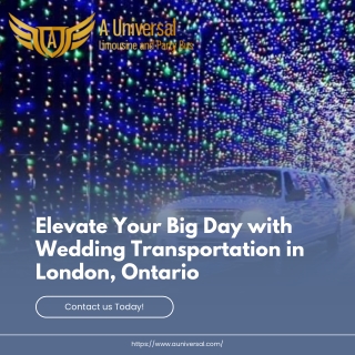Elevate Your Big Day with Wedding Transportation in London, Ontario