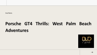 Porsche GT4 Thrills West Palm Beach Adventures