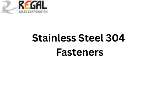 SS 304 Fasteners
