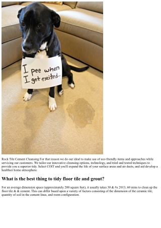 Rock Floor Tile Cement Cleaning