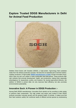 Explore Trusted DDGS Manufacturers in Delhi for Animal Feed Production