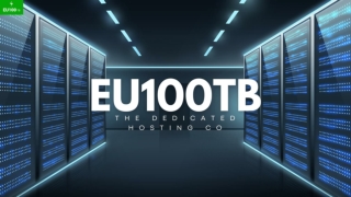 dutch dedicated server