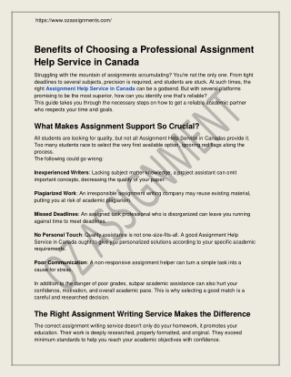 Benefits of Choosing a Professional Assignment Help Service