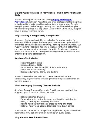 Expert Puppy Training in Providence – Build Better Behavior Early