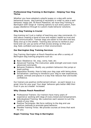 Professional Dog Training in Barrington – Helping Your Dog Thrive