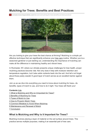 Mulching for Trees Benefits and Best Practices