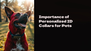 CurliTail | crafts Personalized Dog Collars with great care