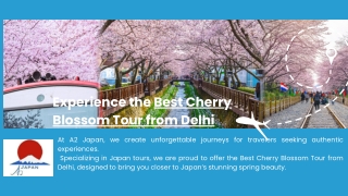 Experience the Best Cherry Blossom Tour from Delhi