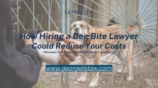 The Hidden Financial Benefits of Hiring a Dog Bite Lawyer