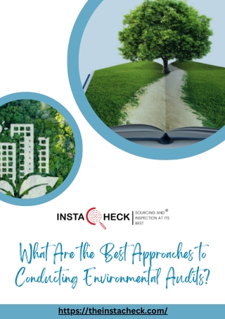 What Are the Best Approaches to Conducting Environmental Audits