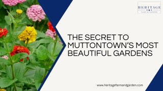The Secret to Muttontown’s Most Beautiful Gardens