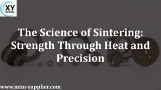 The Science of Sintering Strength Through Heat and Precision (1)