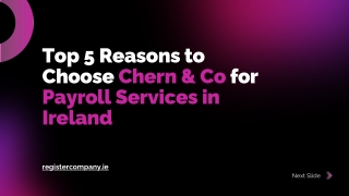 Top 5 Reasons to Choose Chern & Co for Payroll Services in Ireland