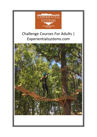 Challenge Courses For Adults  Experientialsystems.com