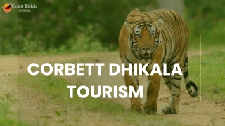 Elephant Safari in Jim Corbett - A Wildlife Adventure