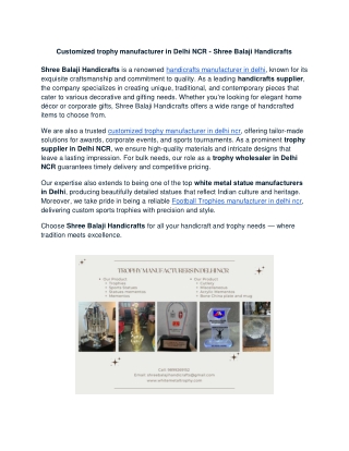 Customized trophy manufacturer in Delhi NCR - Shree Balaji Handicrafts