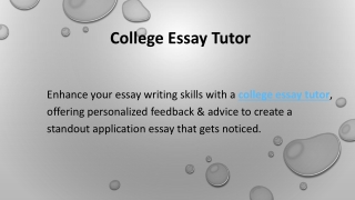 College Essay Tutor