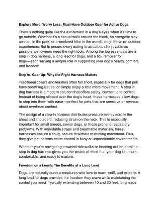 Explore More, Worry Less: Must-Have Outdoor Gear for Active Dogs