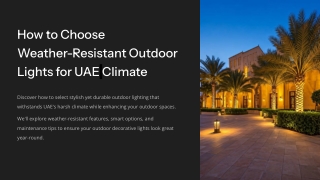 Outdoor decorative lights UAE