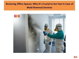 Restoring Office Spaces Why It’s Crucial to Act Fast in Case of Mold Removal Services