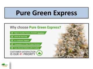 Buy Cannabis Tincture Online - Fast-acting Relief in Every Drop!