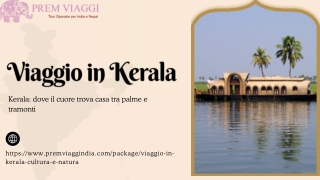 Viaggio in Kerala