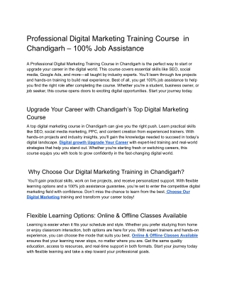 Professional Digital Marketing Training Course  in Chandigarh – 100% Job Assistance