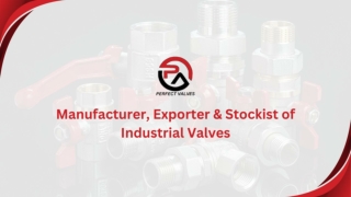 Manufacturer, Exporter & Stockist of Industrial Valves