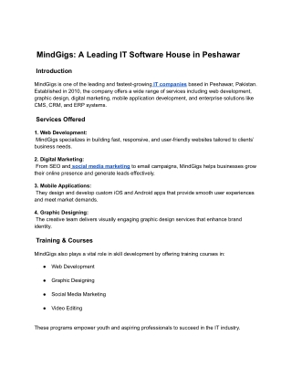 MindGigs: A Leading IT Software House in Peshawar
