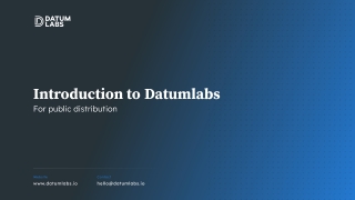 Datum Labs Data & Analytics Services