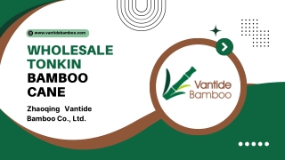 Wholesale Tonkin Bamboo Cane - Vantidebamboo.com