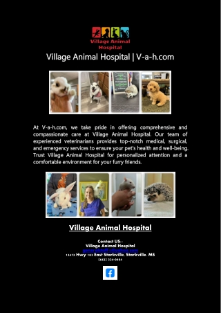 Village Animal Hospital | V-a-h.com