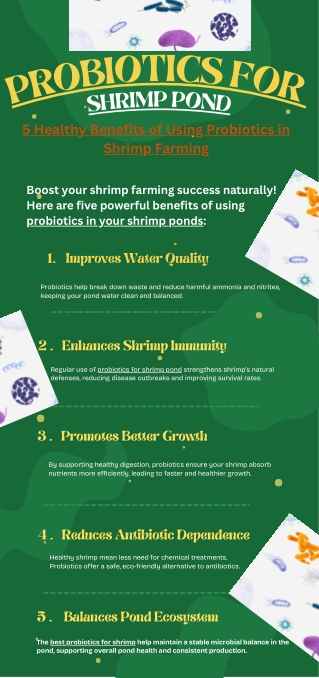 Enhance Shrimp Growth with Probiotic Support