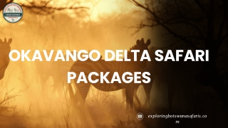 Okavango Delta Safari Packages