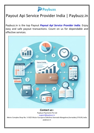 Payout Api Service Provider India | Paybuzz.in