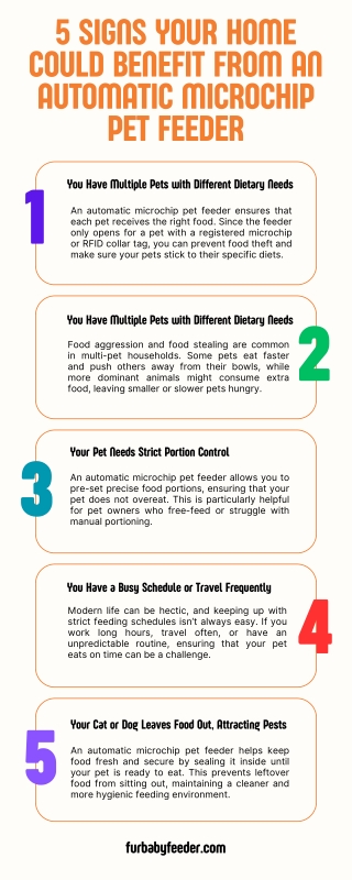 5 Signs Your Home Could Benefit from an Automatic Microchip Pet Feeder