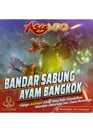 ASIAMPO-BANDAR-SABUNG-AYAM-BANGKOK