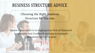 Business Structure Advice - Choosing the Right Business Structure for Success